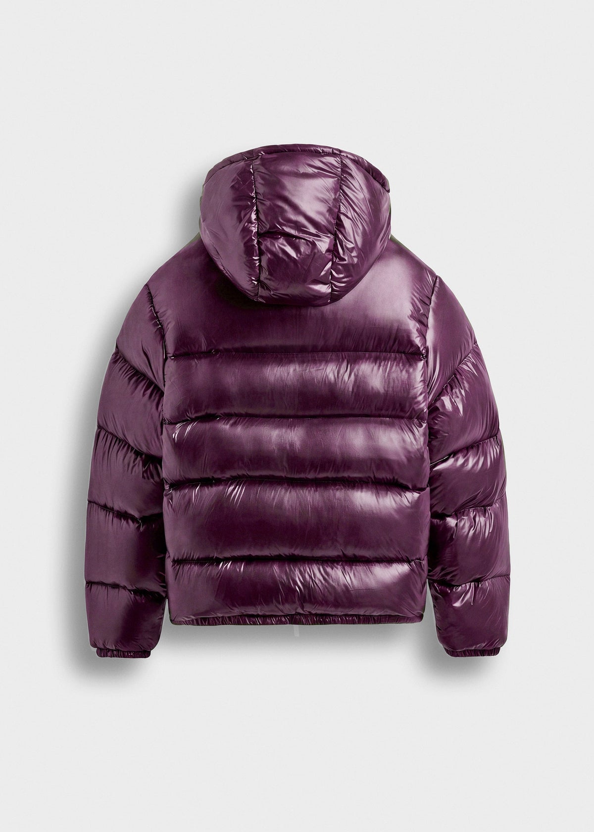 Espalda de la chaqueta acolchada Gael en violeta con la capucha [vrs-color:violeta brillante]